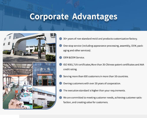 Professional Manufacturer Of Door Accessory Molds One Stop Solution Fast Delivery